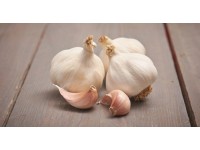 GardenSeed Premium Sadbový cesnak Flavor 250 g