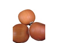 MONTANO Tekvica na Haloween pr. cca 15 cm, 1 ks MONTANO Tekvica na Haloween pr. cca 15 cm, 1 ks