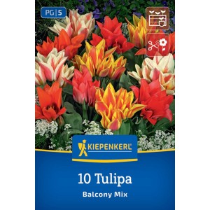 Kiepenkerl cibuľky tulipánov Greigii Balkonzauber Mix 10 ks. Farebné tulipány na balkón a do kvetináčov.