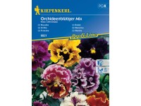 Kiepenkerl Semienka Sirôtka Orchideenblütiger mix