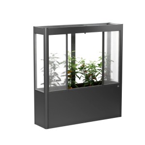 Biohort Florentina skleník pre vyvýšený záhon, 2x0,5 m, tmavosivá metalíza. Rastliny viditeľné vnútri.