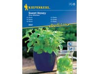 Kiepenkerl Semienka Stévia Sweet Honey