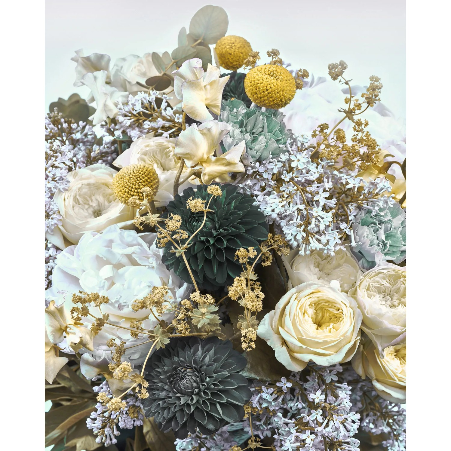 E-shop Komar Vliesová fototapeta Gentle Bloom Cheery TBC 200 x 250 cm