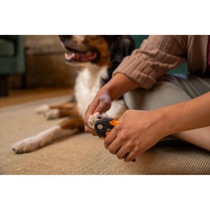 FISKARS PET CARE Kliešte na pazúriky (2009132)