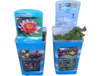 OBI Lekno červené priemer kvetináča cca 10 cm Nymphea