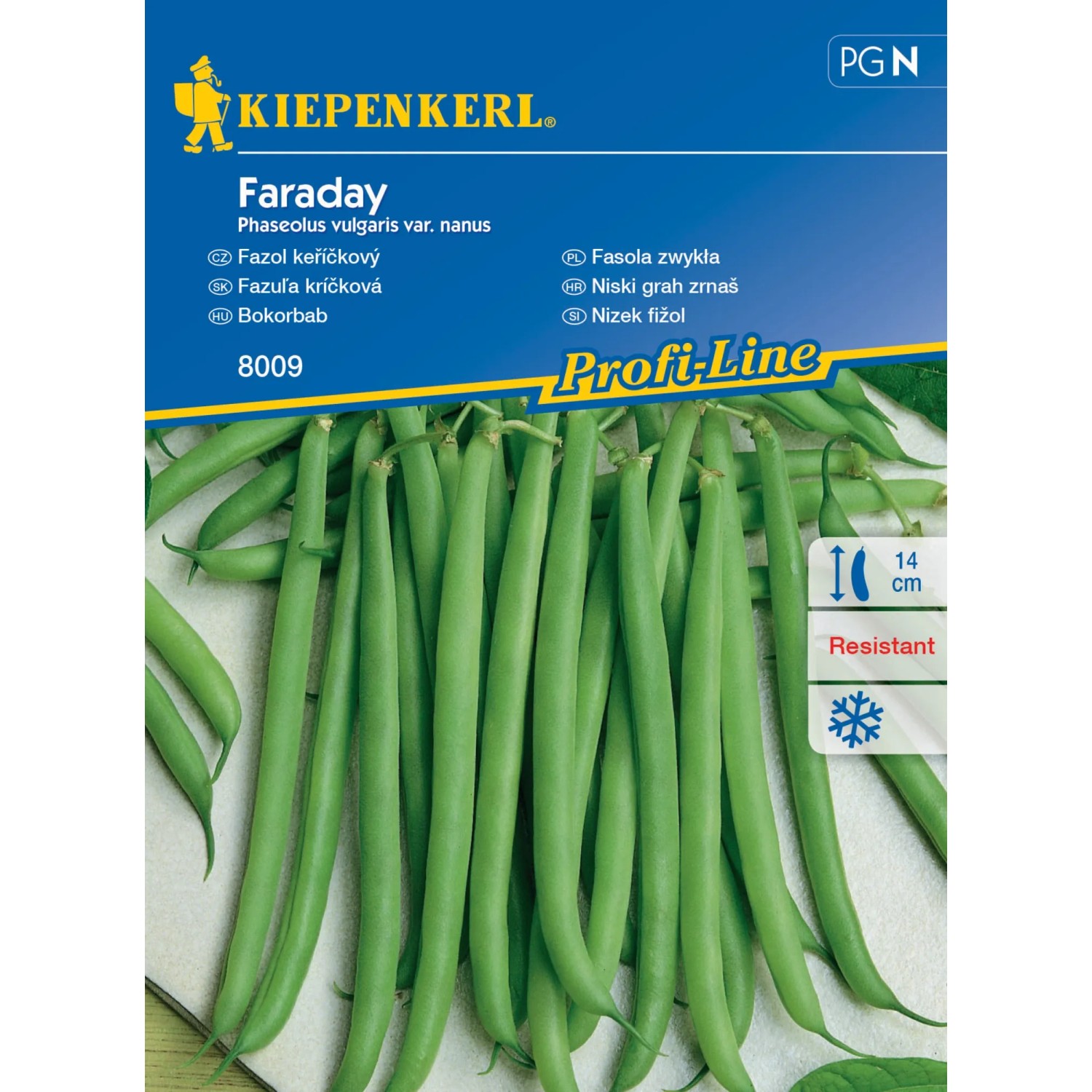 E-shop KIEPENKERL Fazuľa kríčková (Phaseolus vulgaris var. nanus) Faraday