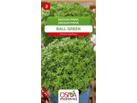 Osiva Moravia Semienka Bazalka pravá Ball Greek (Ocimum basilicum)