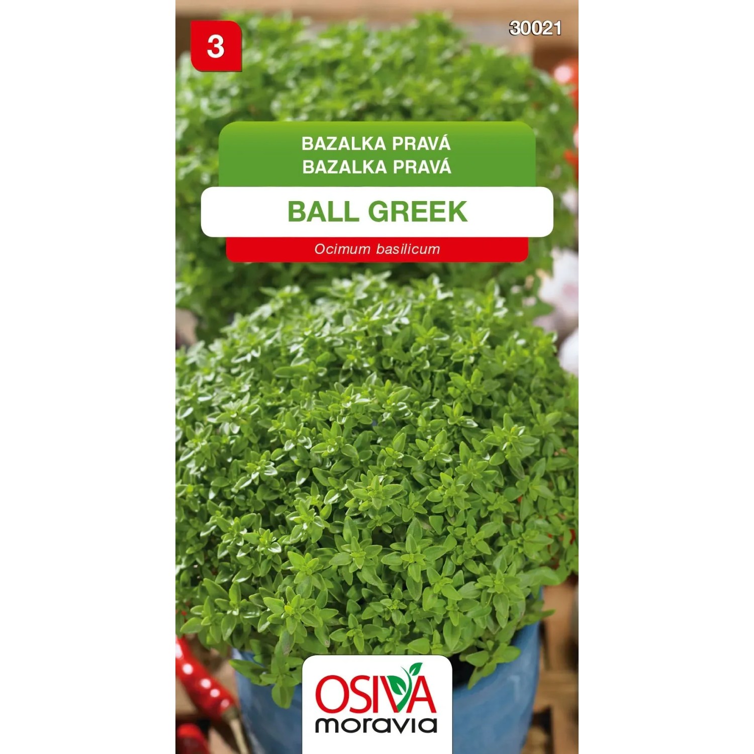 E-shop Osiva Moravia Semienka Bazalka pravá Ball Greek (Ocimum basilicum)