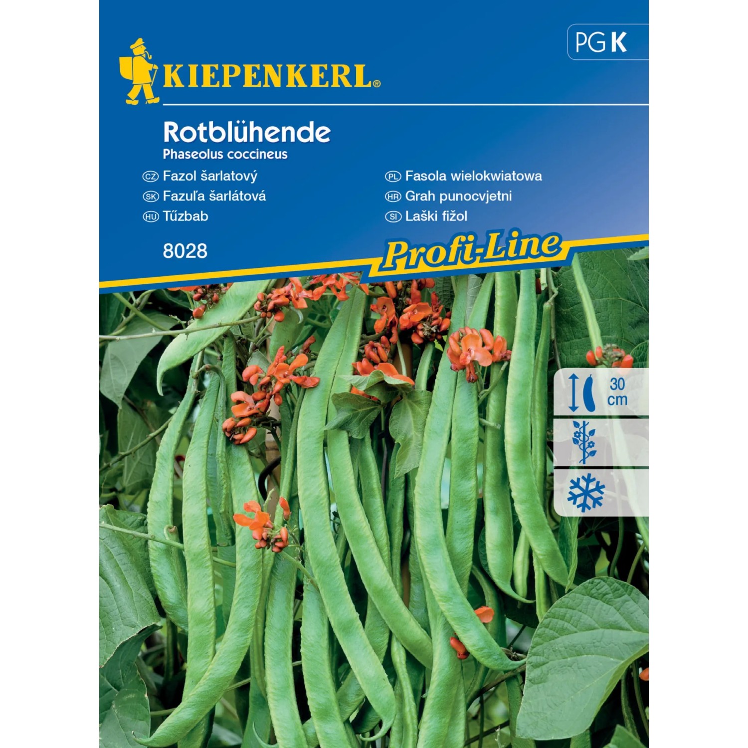 E-shop Kiepenkerl Semienka Fazuľa šarlatový Rotblühende