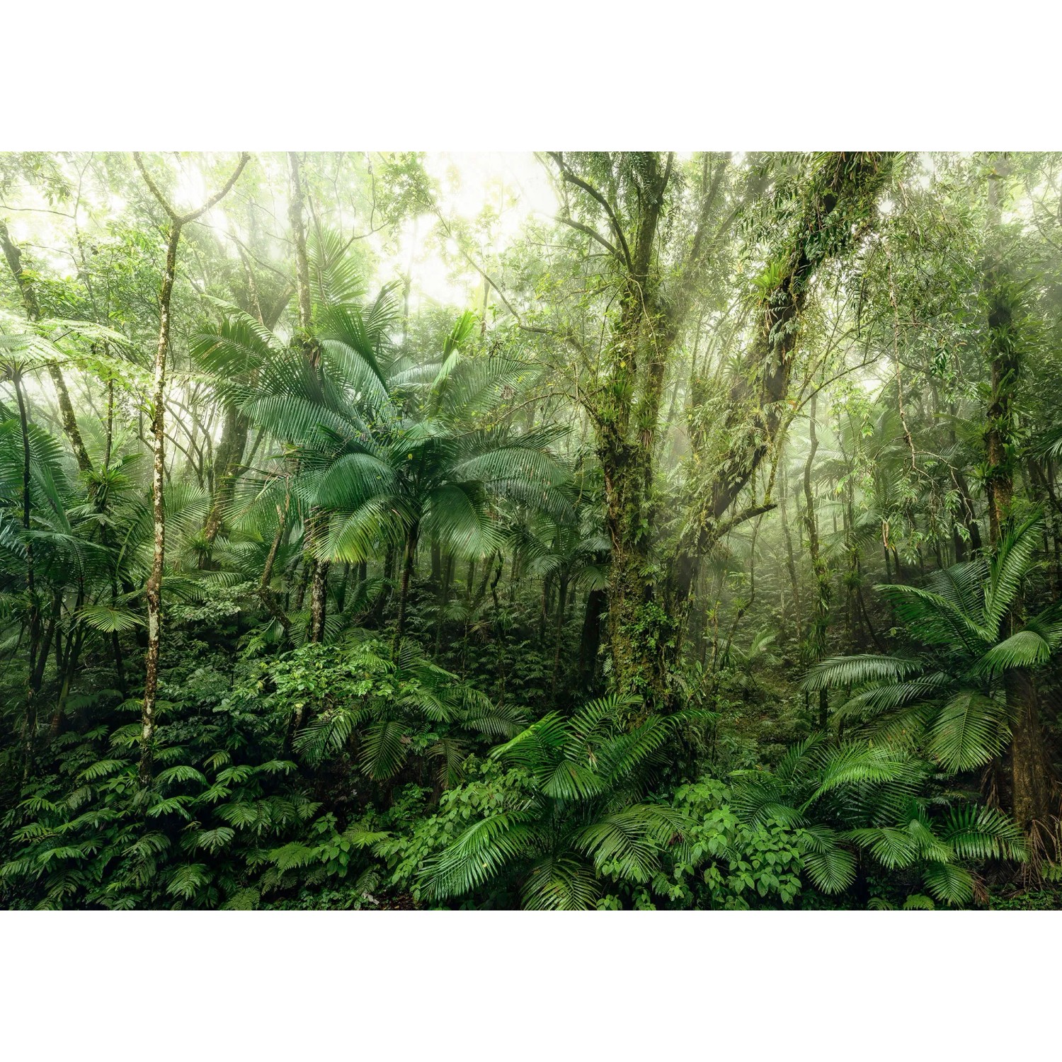 E-shop Komar Vliesová fototapeta Mindfulness 350 x 250 cm