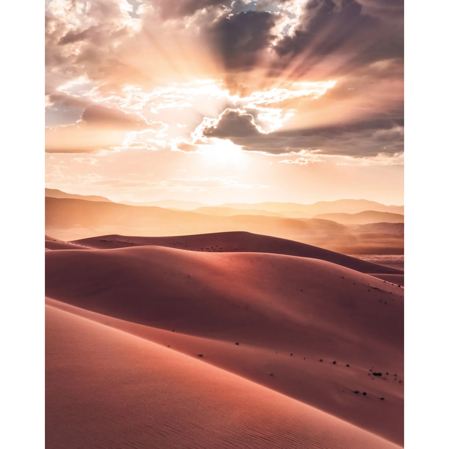 E-shop Komar Vliesová fototapeta God Rays 200 x 250 cm