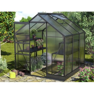Skleník Vitavia Apollo 3800, čierny rám, 3,8 m² so základom a otvorenými dverami. Vnútri rastliny.