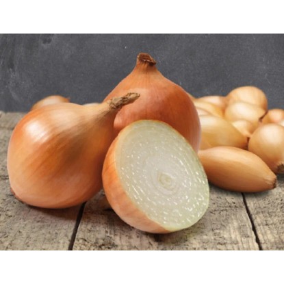 GardenSeed Premium Cibuľa sadzačka Cupido 250 g