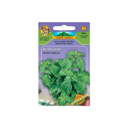 Gardenie Semienka Bazalka pravá zelená