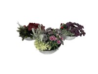 Q-Flower Aranžmán jesenných rastlín v zinkovej žardinke rôzne druhy pr. cca 29cm
