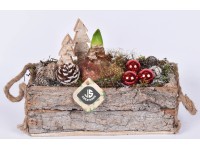 Aranžmán hviezdnika (Hippeastrum hybride) v drevenom kvetináči, pr. 26 cm