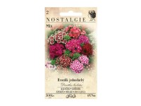 Nostalgie Klinček bradatý vysoký jednoduchý zmes Nostalgie Klinček bradatý vysoký jednoduchý zmes