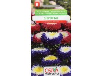 Semienka Astrovka čínska pomponkovitá (Callistephus chinensis)