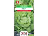 Semienka Šalát hlávkový Zeus (Lactuca sativa capitata)
