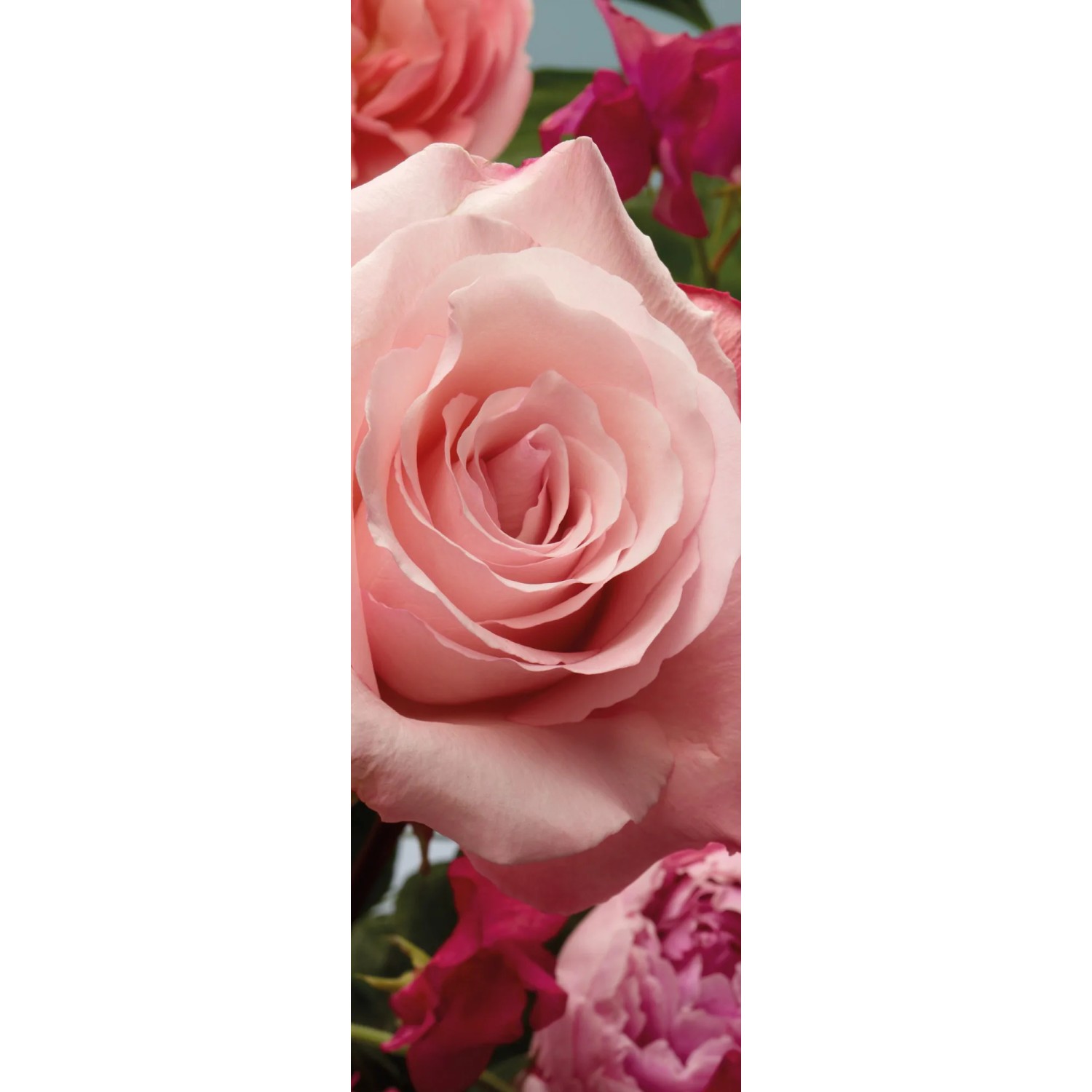 E-shop Komar Vliesová fototapeta Rosenduft 100 x 280 cm