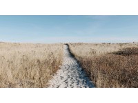 Bondecor Obraz, tlačené plátno Krajina 80 x 150 cm