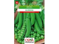 Semienka Hrach siaty Gloriosa (Pisum sativum L. convar. medullare)