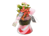 Aranžmán izbových rastlín v sklenenej váze, pr. kv. cca 12 cm