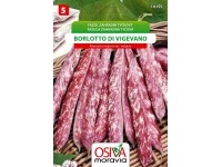 Semienka Fazuľa záhradná tyčková Borlotto Di Vigevano (Phaseolus vulgaris)