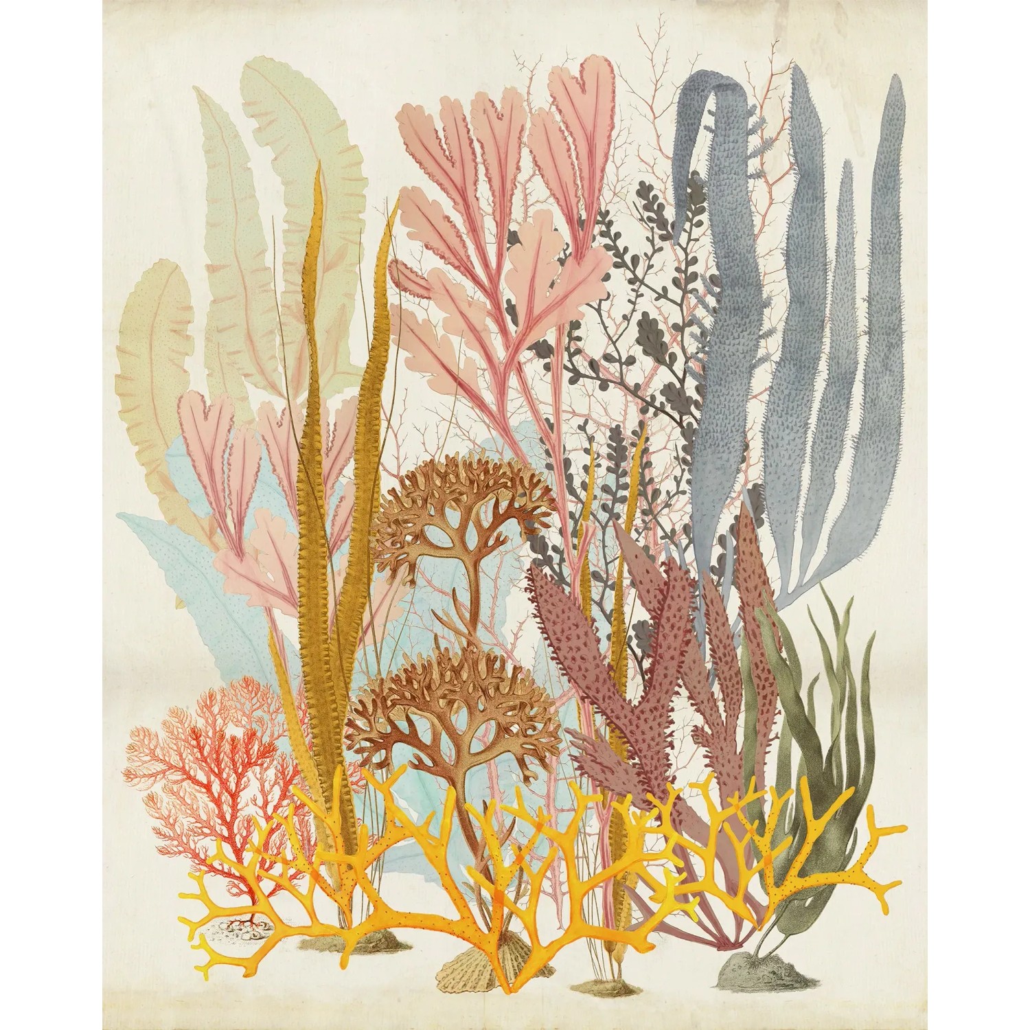 E-shop Komar Vliesová fototapeta Catchy Corals, 200 x 250 cm