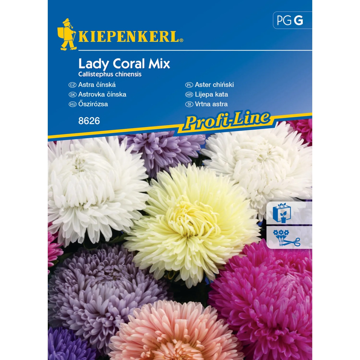 E-shop Kiepenkerl Semienka Astrovka čínska Lady Coral mix