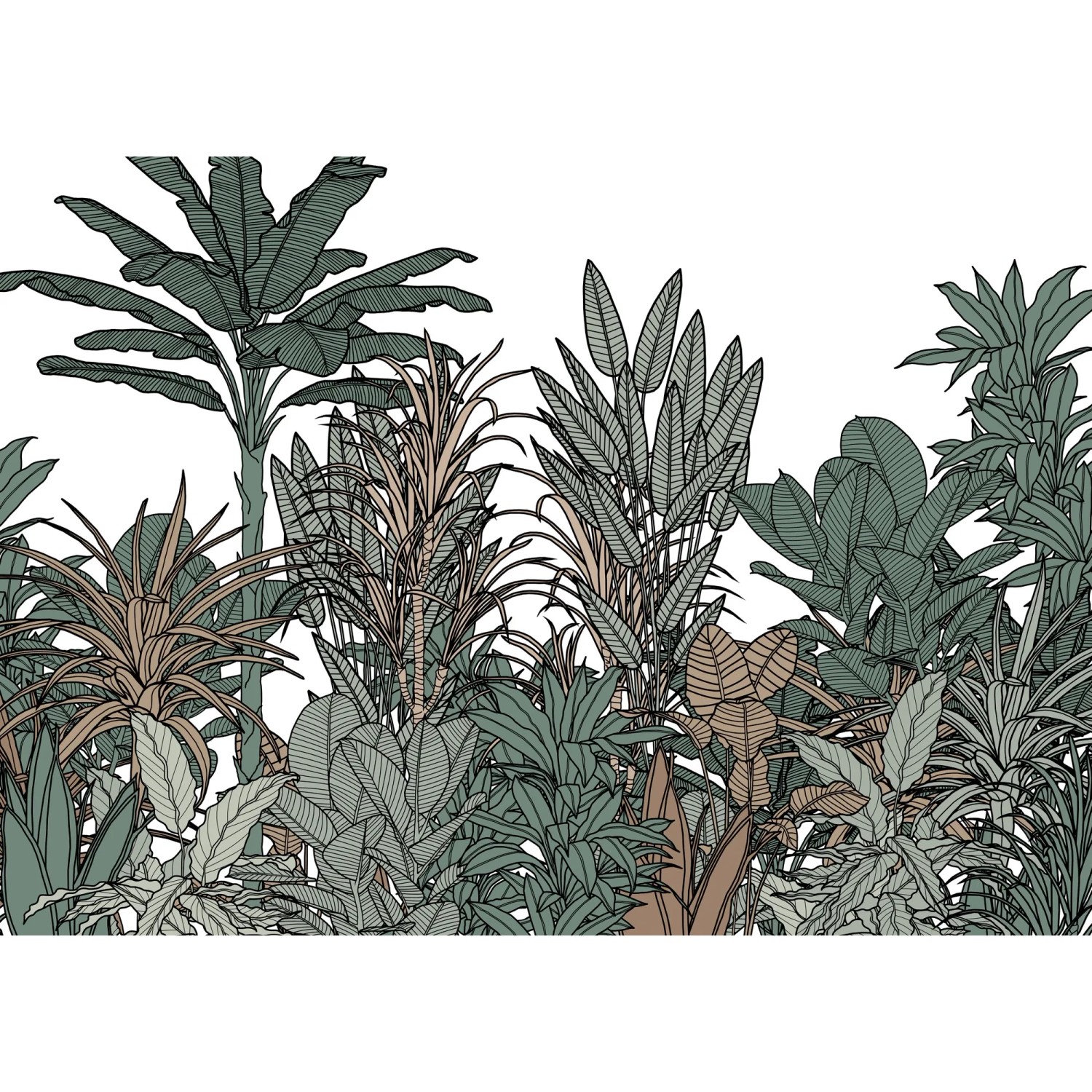 E-shop Komar Vliesová fototapeta Doodle Plants Color 350 x 250 cm