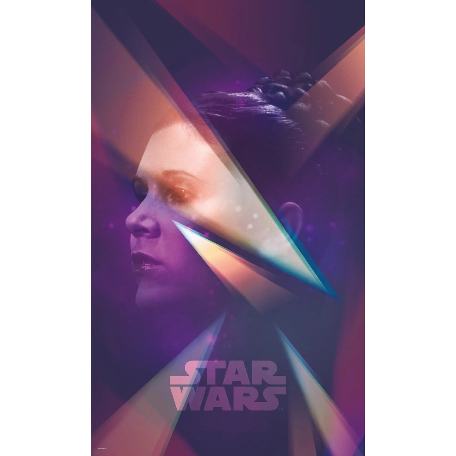 E-shop Komar Vliesová fototapeta Star Wars Female Leia 120 x 200 cm