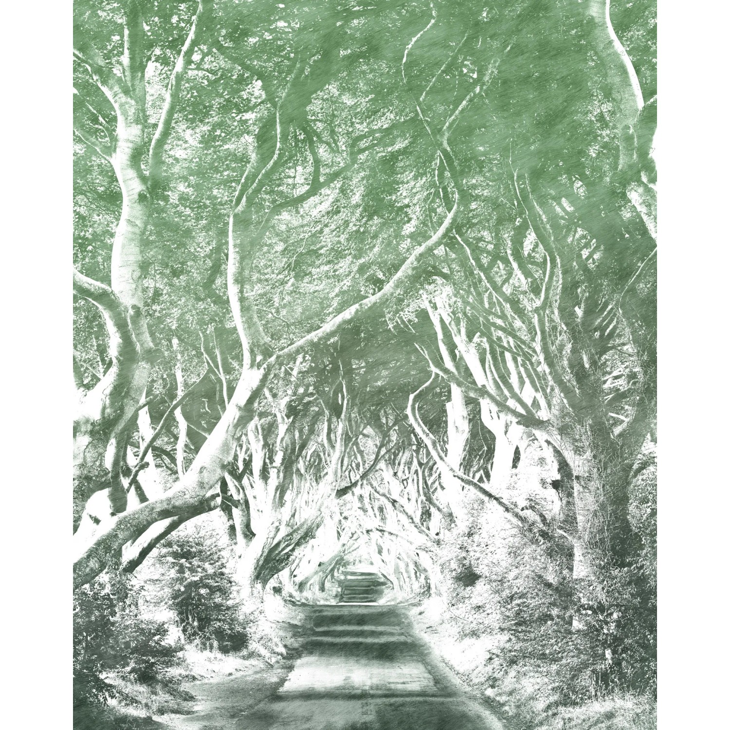 E-shop Komar Vliesová fototapeta Alley Graphite 200 x 250 cm
