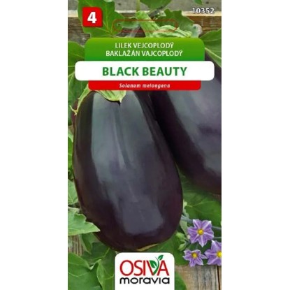 Semienka Baklažán vajcoplodý Black Beauty (Solanum melongena)