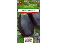 Semienka Baklažán vajcoplodý Black Beauty (Solanum melongena)