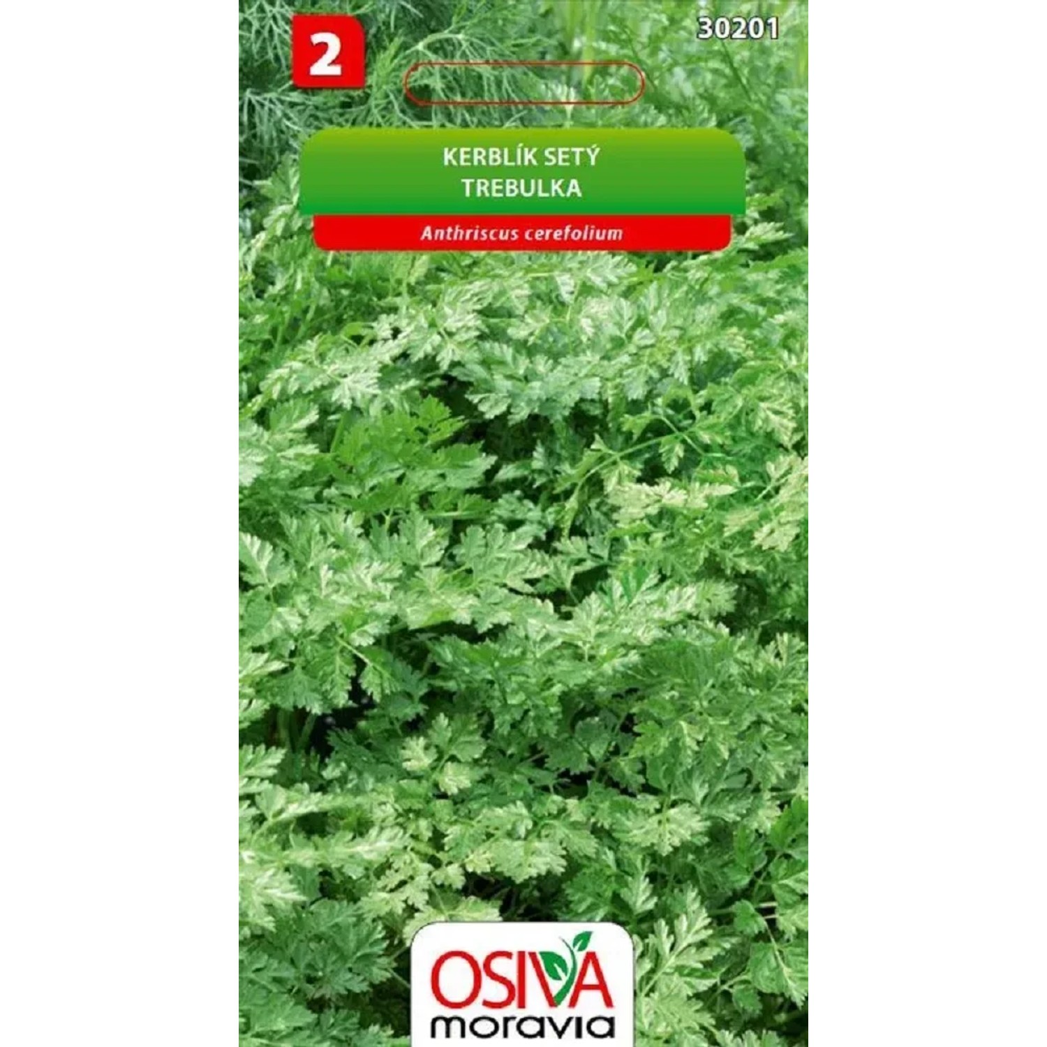 E-shop Osiva Moravia Semienka Trebulka (Anthriscus cerefolium)