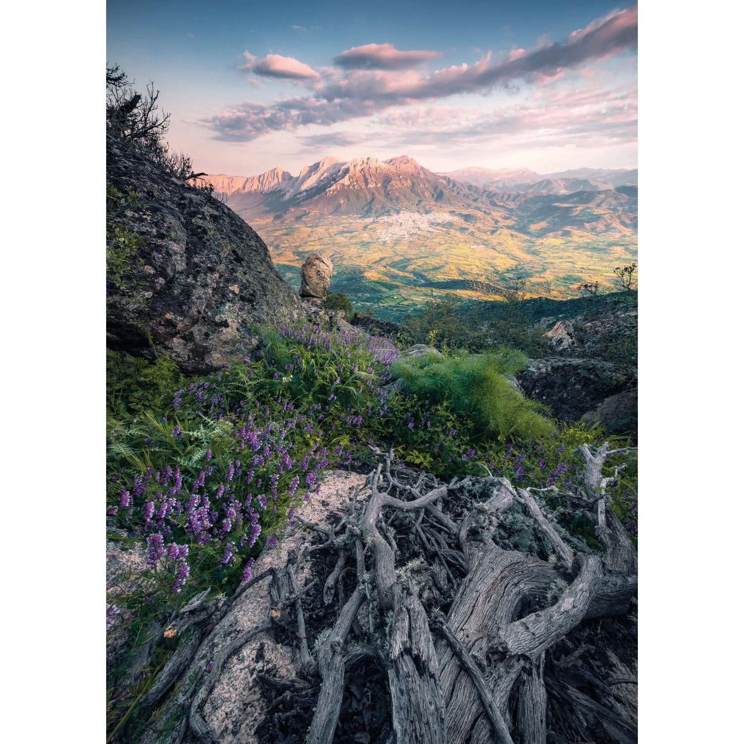 E-shop Komar Vliesová fototapeta Flowering Tales 200 x 280 cm