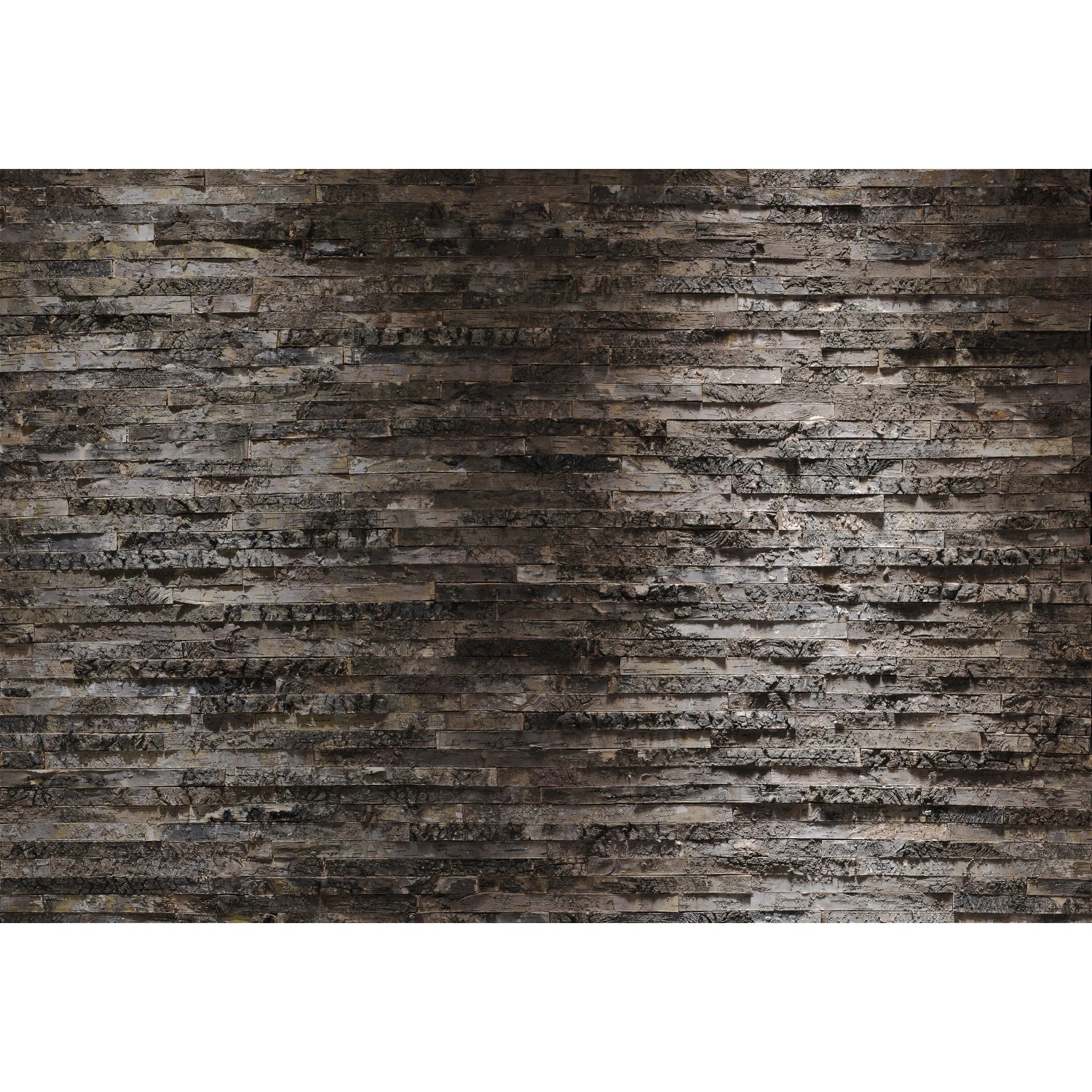 E-shop Komar Papierová fototapeta Birkenrinde, 8-dielna, 368 x 254 cm FSC®