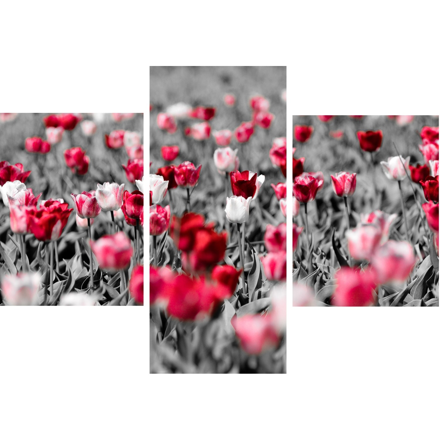 E-shop Bondecor 3dielna súprava obrazov Flora 30 x 42 cm