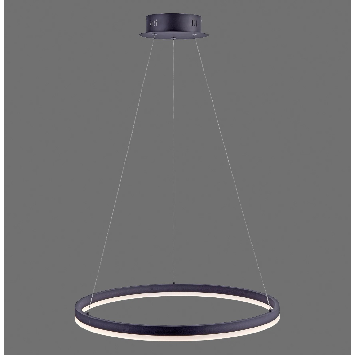 E-shop Paul Neuhaus Závesné LED svietidlo Titus, 38W, 5250lm, antracit, pr. 60 x 120 cm