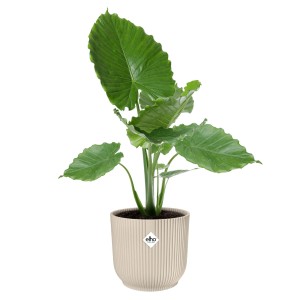 Okrúhly kvetináč Elho Vibes Fold, Ø 35 cm, v ľanovej bielej s rebrovaným vzorom, ideálny pre izbové rastliny. Vodotesný obal.
