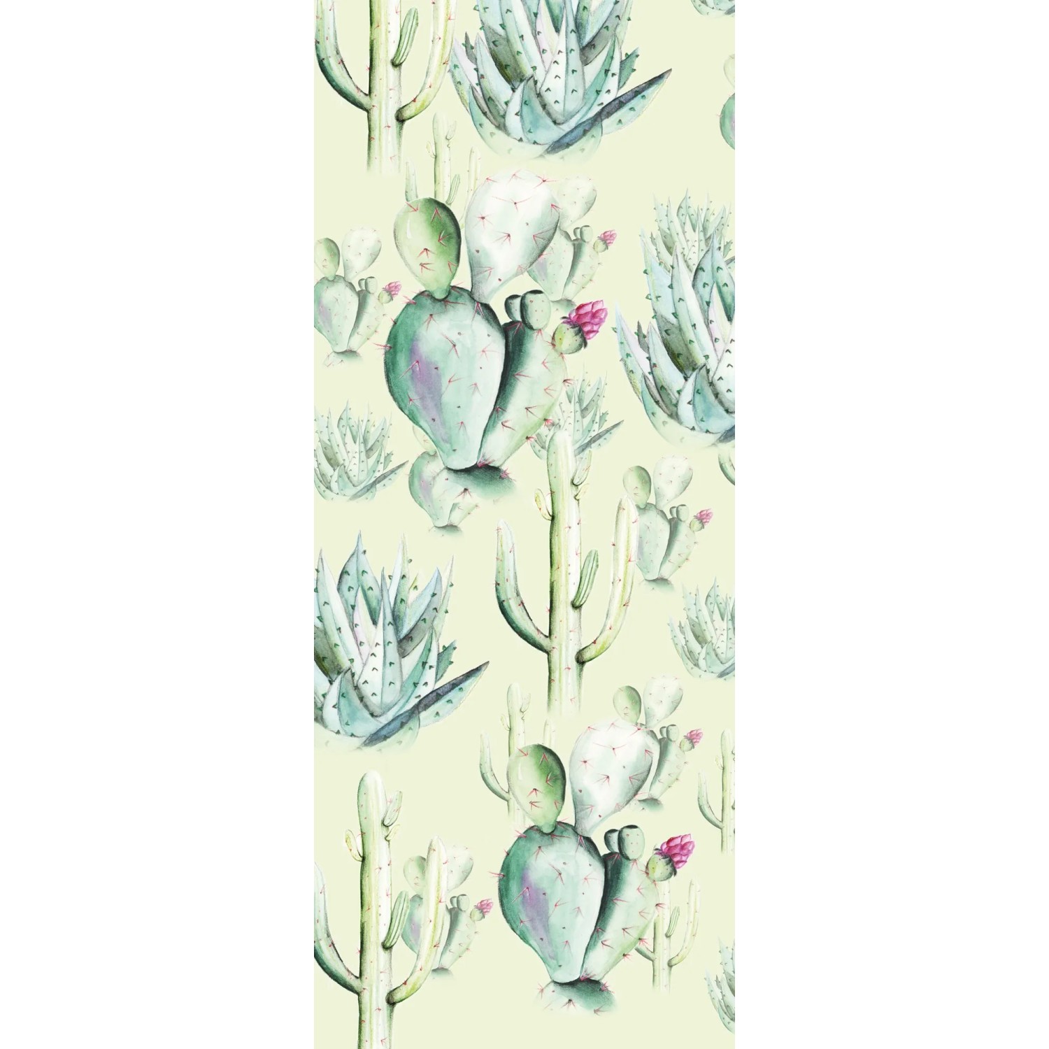 E-shop Komar Vliesová fototapeta Cactus Green 100 x 250 cm