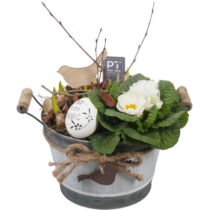 Veľkonočný aranžmán (Narcissus-Primula) v kovovom kvetináči, pr. kv. 18 cm