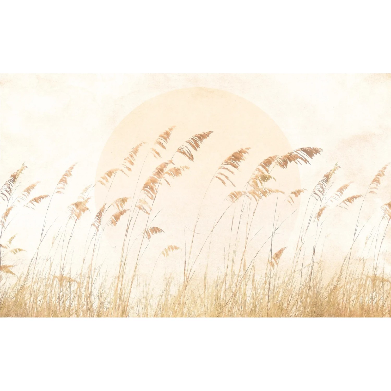 E-shop Komar Vliesová fototapeta Drift Dune Grass 400 x 250 cm
