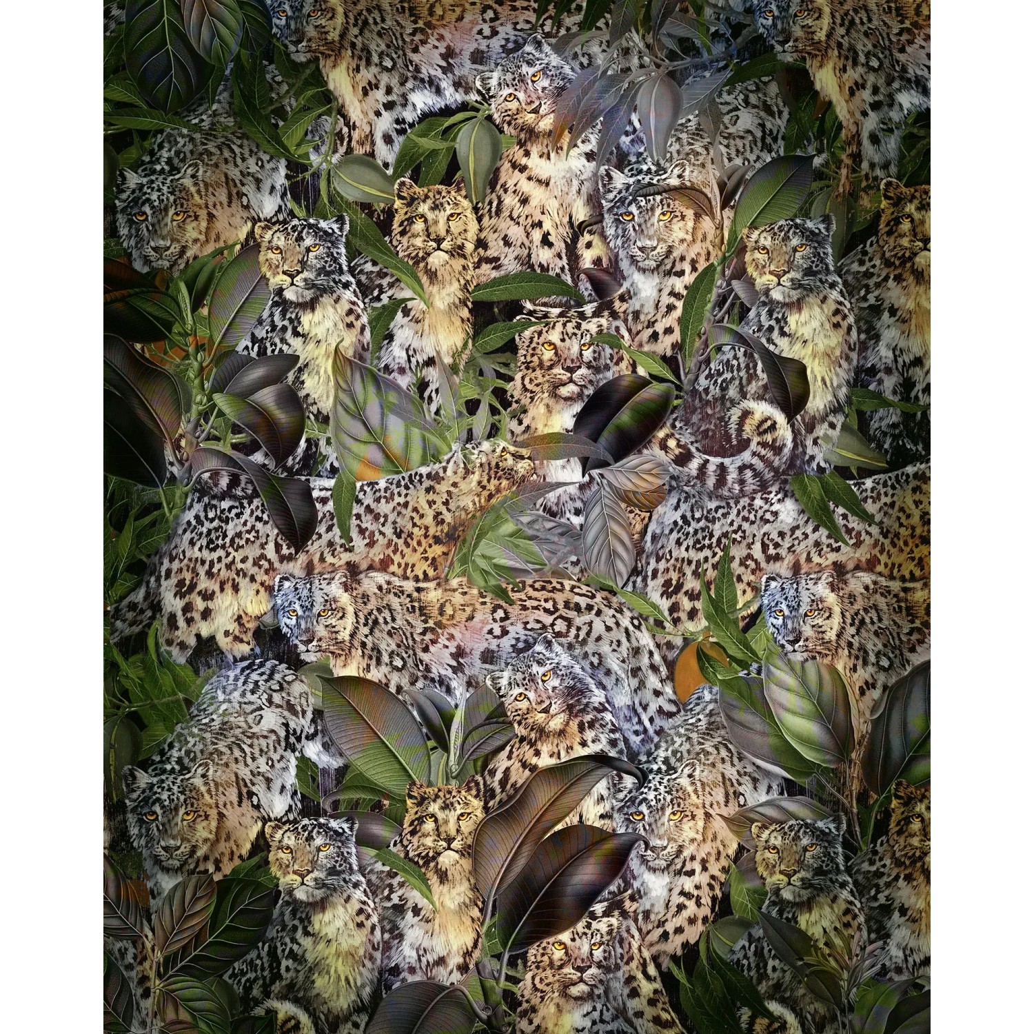 E-shop Komar Vliesová fototapeta Wild Cats 200 x 250 cm
