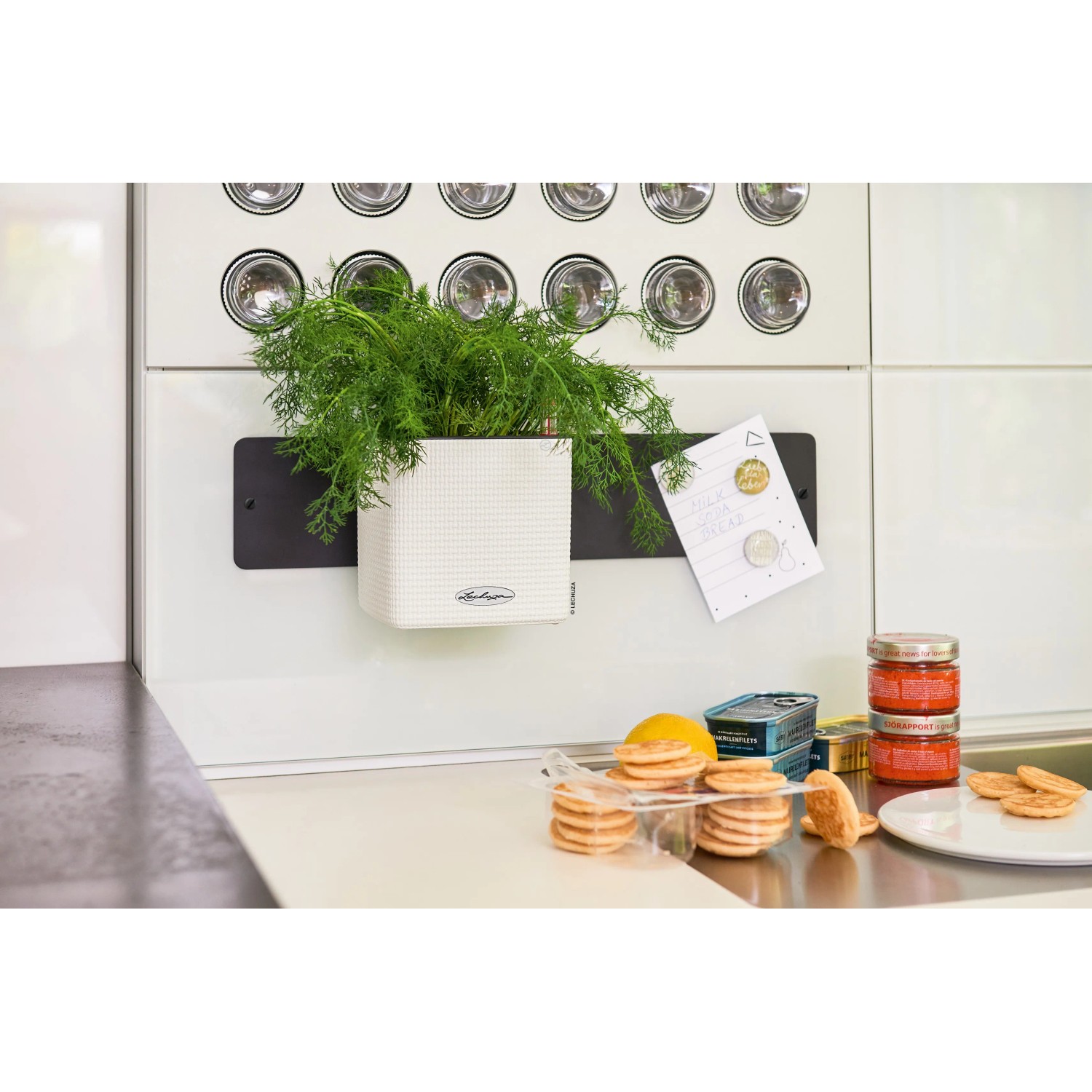 E-shop Lechuza Súprava kvetináčov Green Wall Home Kit Color biela 48 cm