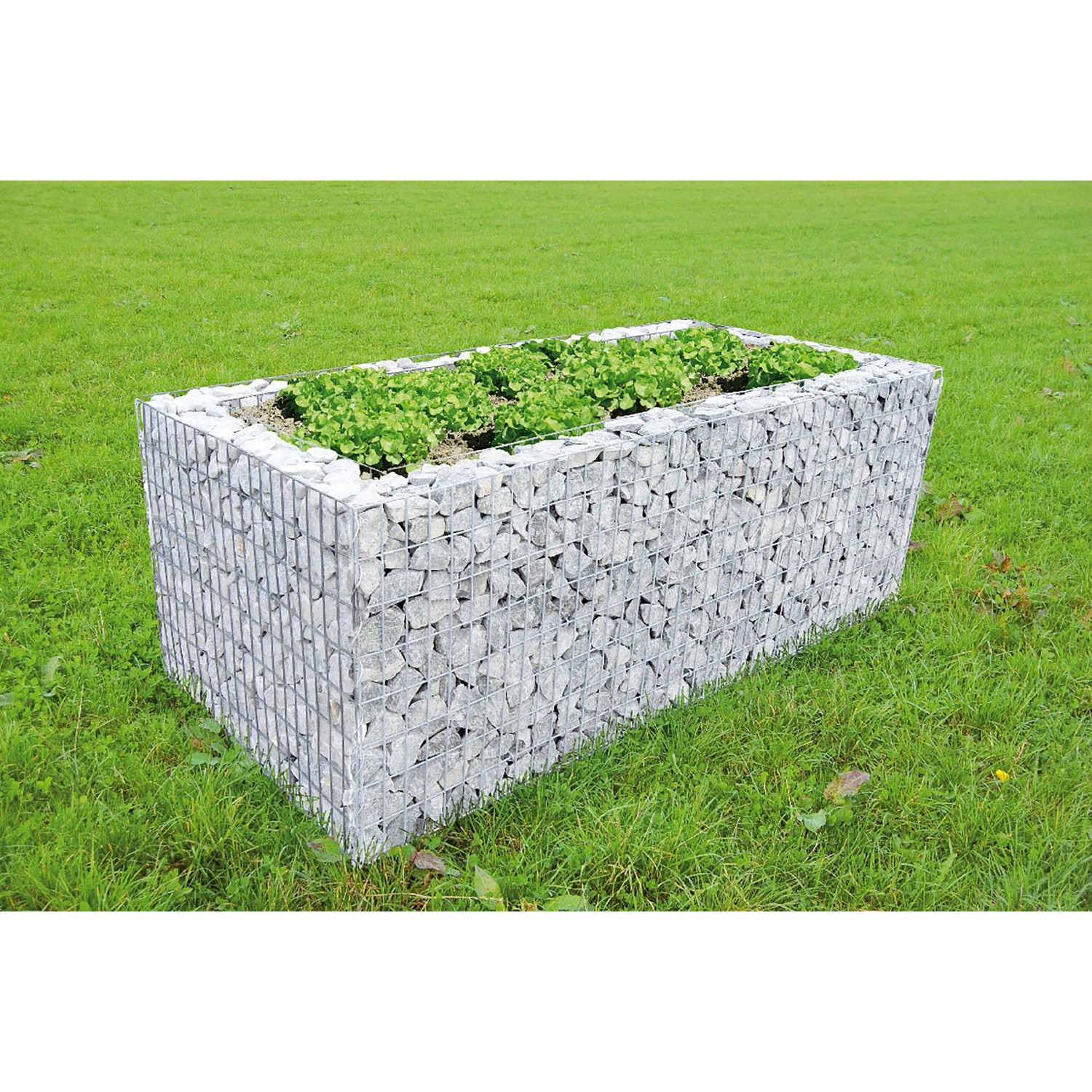 E-shop Gabionový vyvýšený záhon Š 200 cm x H 100 cm x V 80 cm