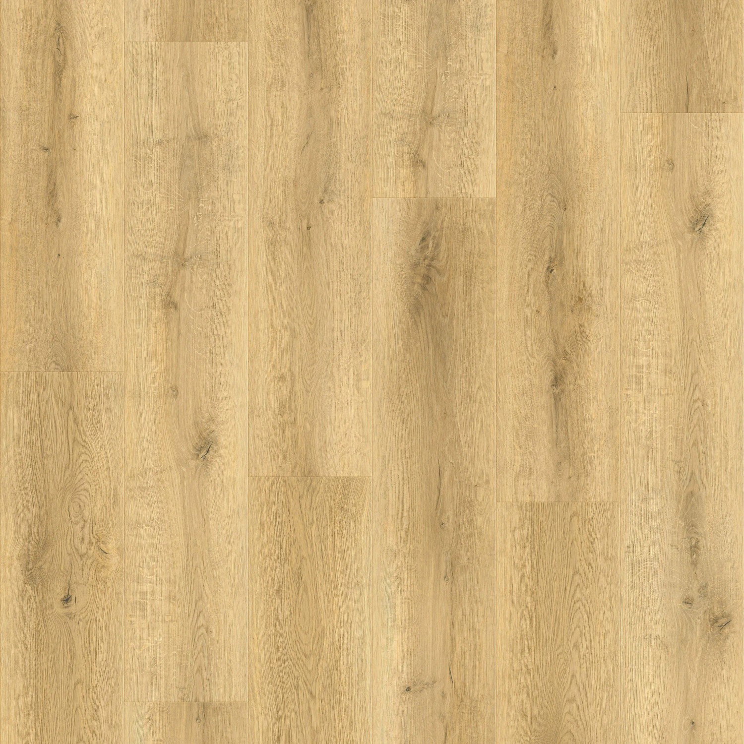 E-shop Decoflooring Vinylová podlaha SPC+KORK, dub Bergen, 229 x 1220 x 6,0+1,0 mm