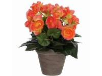 Mica Decorations Umelá kvetina Begonia lososová 30 cm