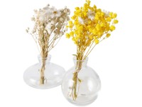 Boltze Váza Filea rôzne druhy